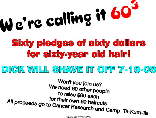 60 Pledges of $60